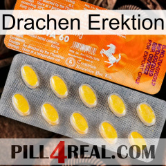Dragon Erection new05